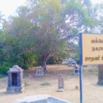 427024326_370333132526941_7484185462533742672_n